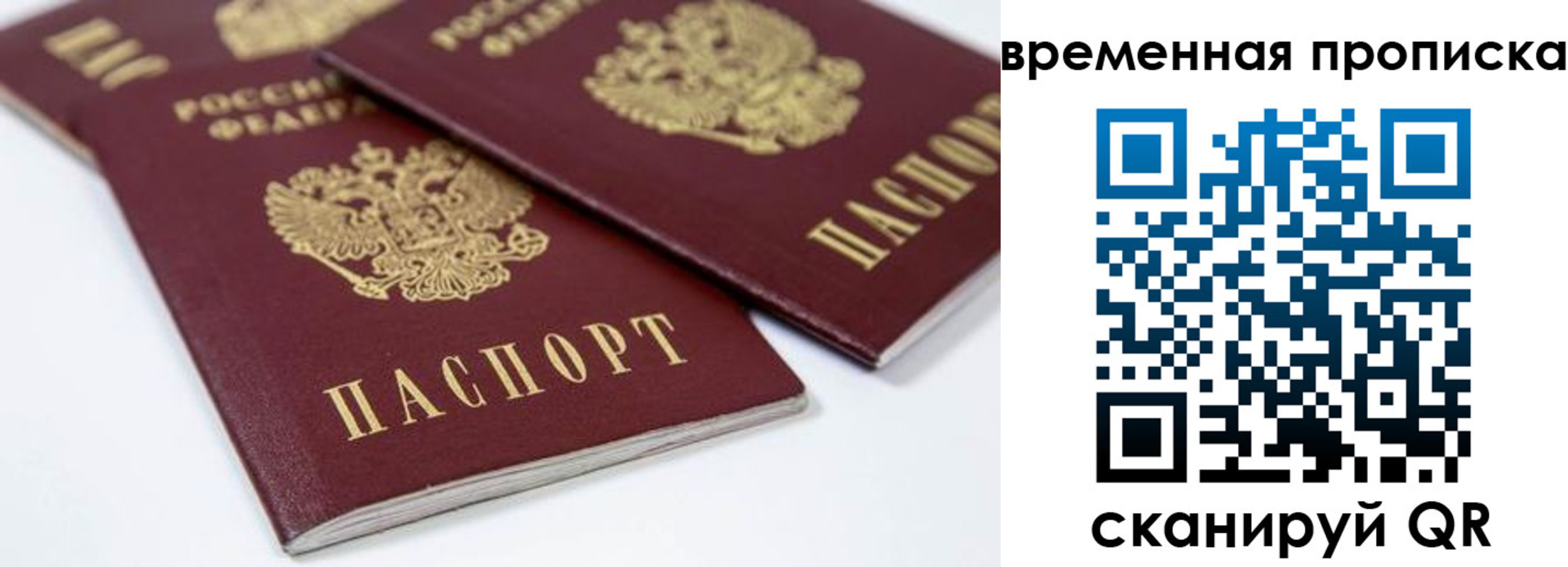 прописка для школы в Темрюке